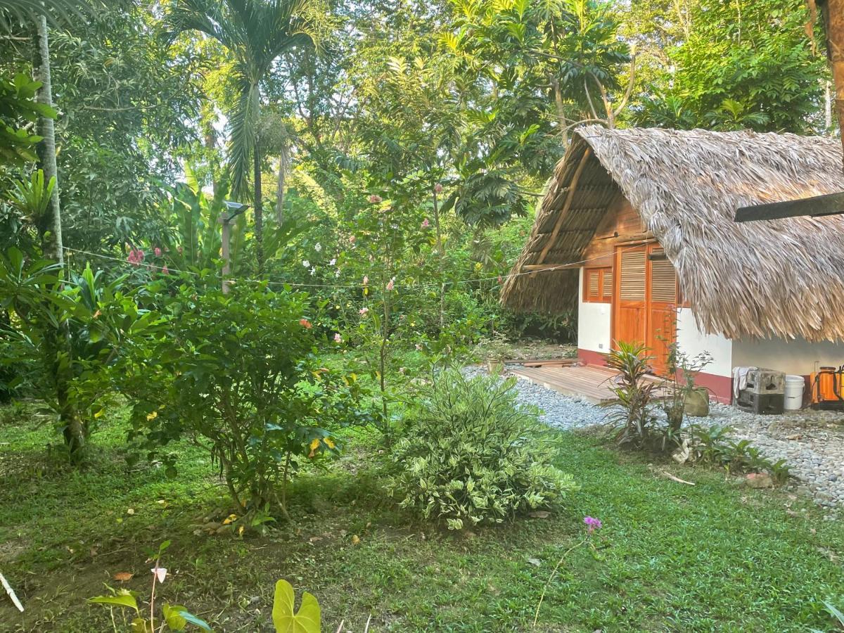 Cabanas Tucan Eco Hotel Capurganá Dış mekan fotoğraf