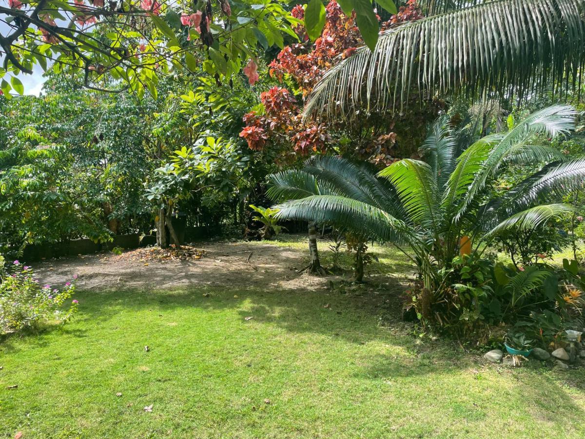 Cabanas Tucan Eco Hotel Capurganá Dış mekan fotoğraf