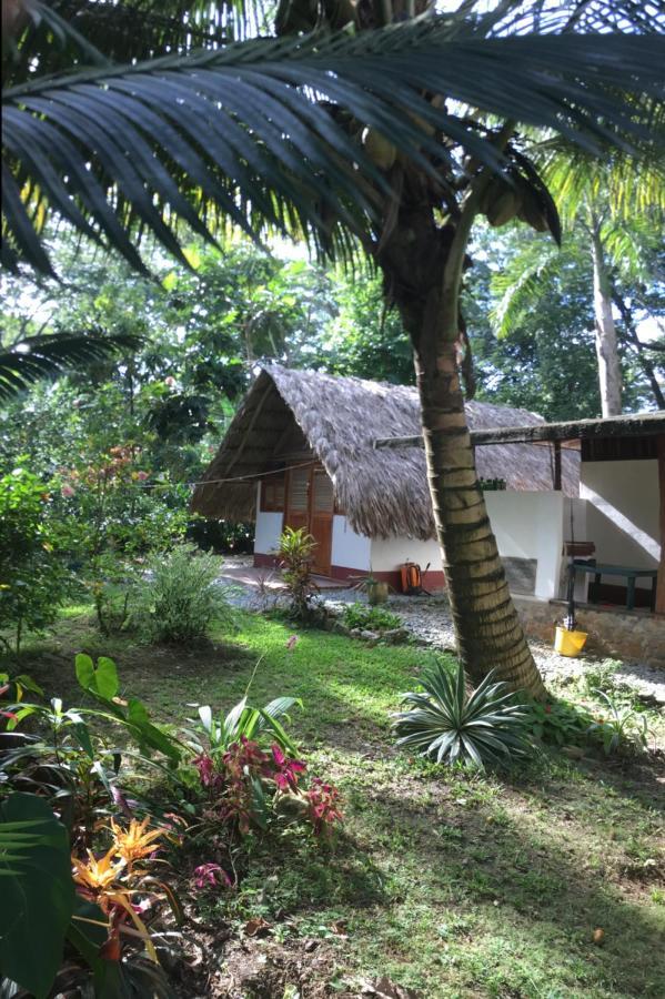 Cabanas Tucan Eco Hotel Capurganá Dış mekan fotoğraf